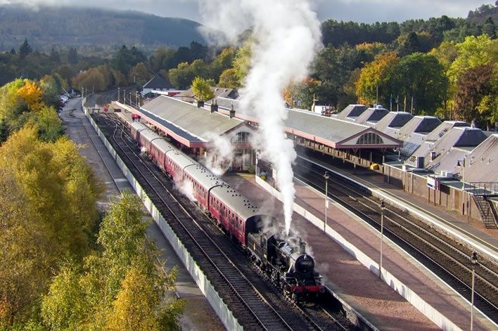 Steam locomotive pulling vintage coaches through a leafy heritage station